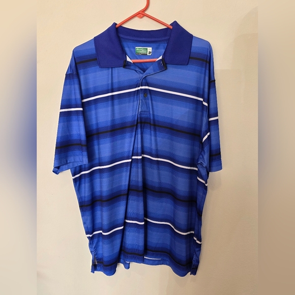 Hogan Other - Ben Hogan Performance Blue Striped Short-Sleeve Polo
